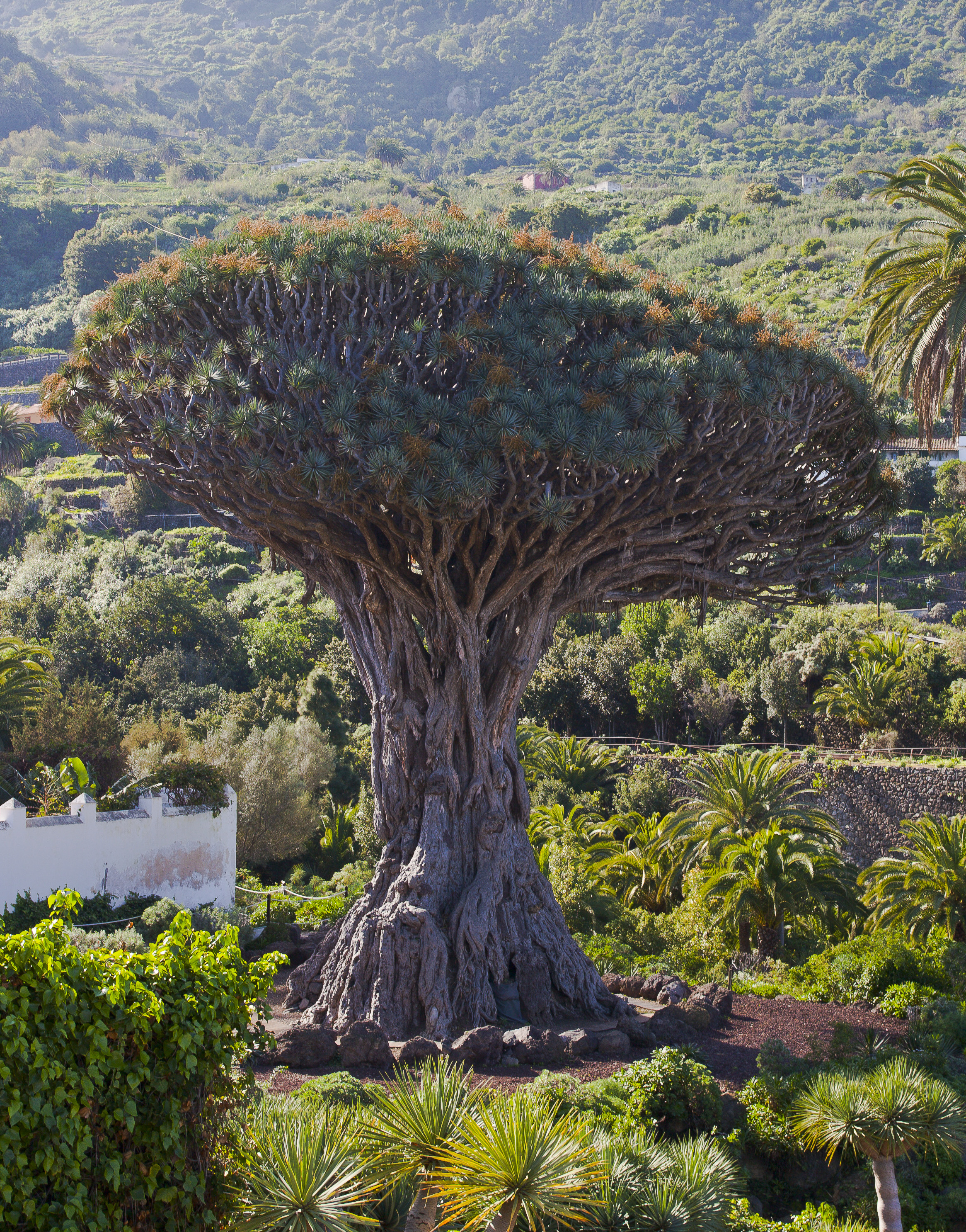 family excursions spain